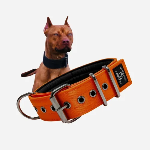 Miniatura 12 de SparkDog - Collar acolchado para perro, 2 pulgadas de ancho, nailon de 4 capas, correas para cinturón de seguridad, accesorios de acero inoxidable
