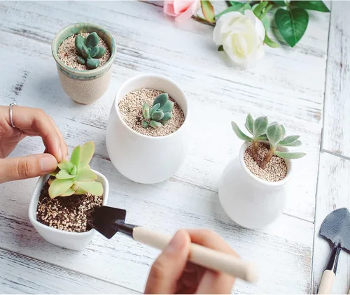 Miniatura 3 de Andiker Mini herramientas de jardinería, juego de 3 herramientas de mano de jardín portátiles, rastrillo de jardinería en miniatura paleta y pala
