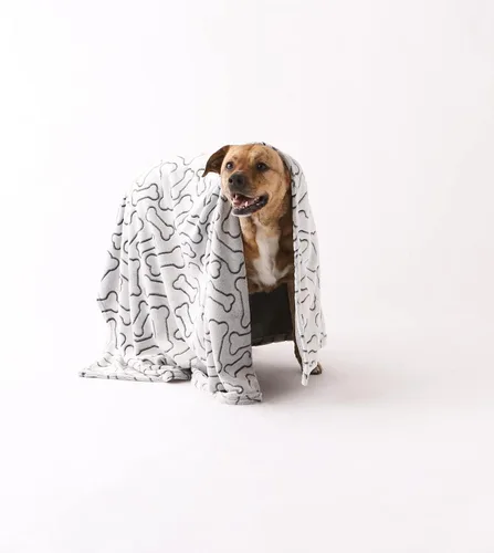 Miniatura 4 de Bone Dry Colección de huesos en relieve, manta para mascotas, 36x48, negro