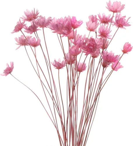 cdar Ramo floral decorativo resistente a los rayos UV no se decolora, centro de mesa, flor seca para regalo, rosa cereza