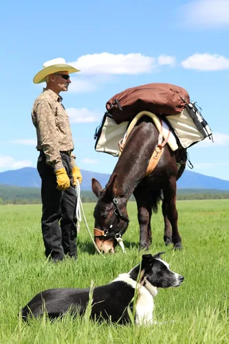 Miniatura 7 de TrailMax - Alforjas de lona para caballos y mulas; paquete de alforjas de lona de 24 onzas para sillas de montar Sawbuck o Decker; alforjas Sawbuck