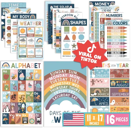 Hadley Designs 16 carteles educativos para niños pequeños de 1 a 3 años, carteles laminados de aprendizaje para preescolar y jardín de infantes,