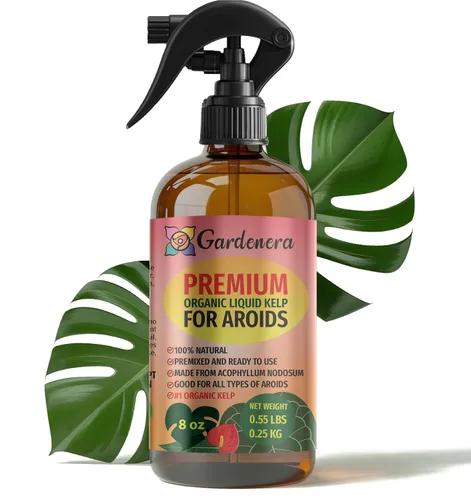 Miniatura 39 de GARDENERA Spray orgánico profesional de algas marinas para plantas AGLAONEMA – 8 oz – Rocío fertilizante de algas marinas y algas marinas totalmente