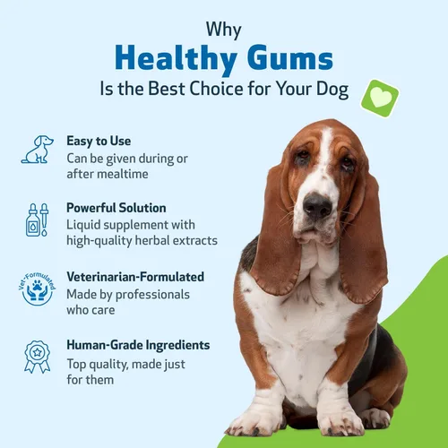 Miniatura 6 de Pet Wellbeing - Encías saludables para perros - Suplemento natural para encías, dientes y aliento saludables contra la gingivitis del perro - 2oz