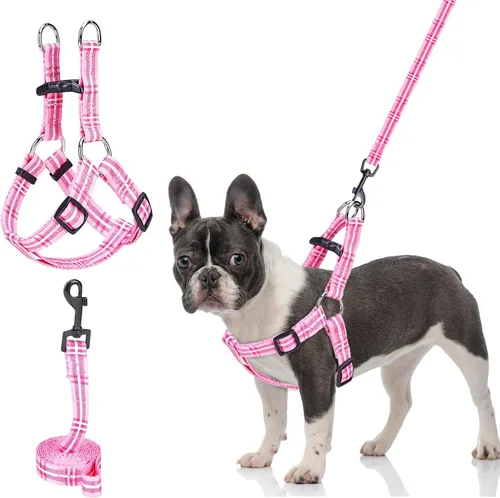 BEAUTYZOO Juego de arnés y correa para perro pequeño sin tirones, arnés de nailon ligero para cuello y pecho ajustable para perros, niñas y niños,