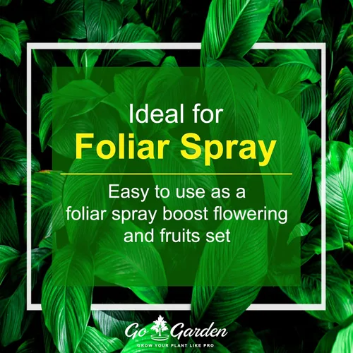 Miniatura 4 de Go Garden MKP (fosfato monotásico) NPK 00 52 34 Fertilizantes para plantas, jardín y todos los cultivos 900 G Nutrición en aerosol foliar soluble