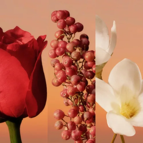 Miniatura 4 de Calvin Klein Eternity Eau de Parfum – Perfume floral para mujer – con notas de rosa turca absoluta, pimienta sichuan y jazmín absoluto – Perfumes