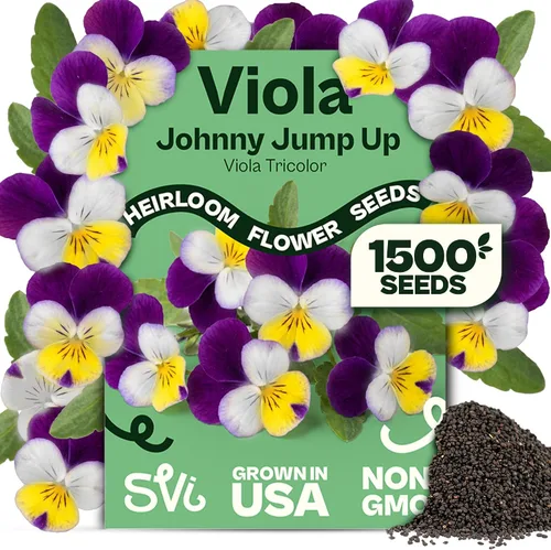 Miniatura 28 de Queen Anne 's Lace- 200 semillas – 50% de descuento venta