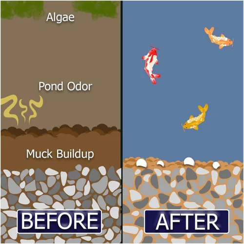 Miniatura 6 de Muck Remover GP - 150 pellets Removedor de lodos de estanque Koi Seguro para peces Trata 5,000 galones hasta 5 meses