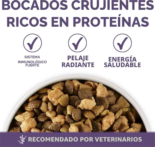 Miniatura 7 de Purina ONE Alimento seco para perros adultos de raza grande, alto contenido en proteína, fórmula Plus Vibrant Maturity Adult 7 Plus - Bolsa de 8