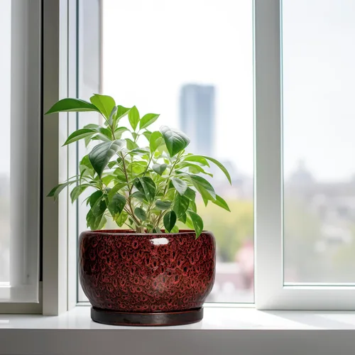 Miniatura 4 de SQOWL Maceta de cerámica para plantas - Maceta de cerámica de 6 pulgadas para interiores y exteriores, maceta decorativa para plantas con orificio