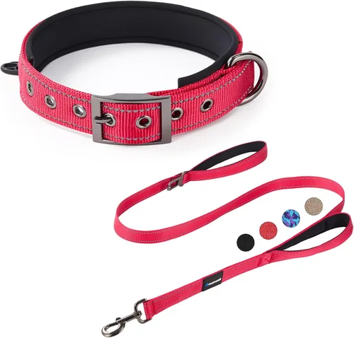 Miniatura 8 de Annchwool Juego de collar ajustable para perro y correa de 5 pies con hebilla de metal resistente, cómodo forro reflectante y doble asa para perros