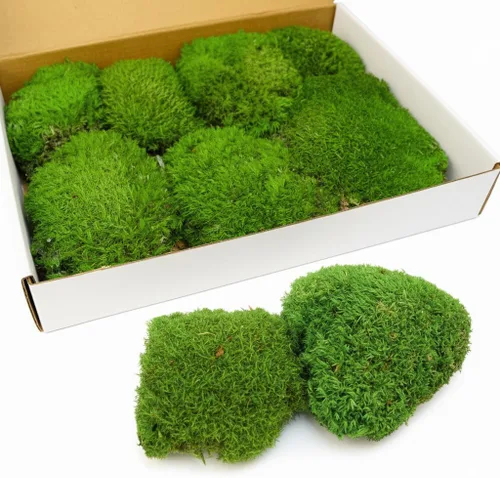 Miniatura 7 de TCYPUHL Cojín de musgo preservado verde oscuro de 1 pies cuadrados para plantas, manualidades de interior, arte de pared, bricolaje, terrarios