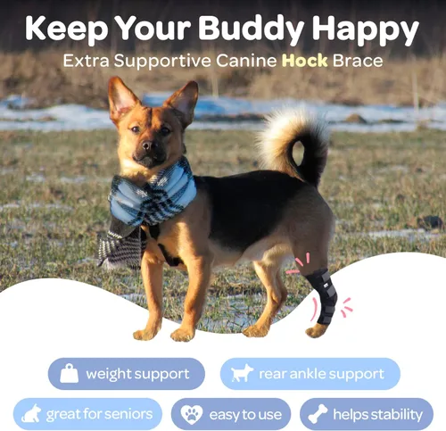 Miniatura 4 de Labra Vendaje de Compresión para Articulación del Corvejón de Pata Trasera de Perro - Soporte Ortopédico para Patas Traseras Débiles, Desgarro