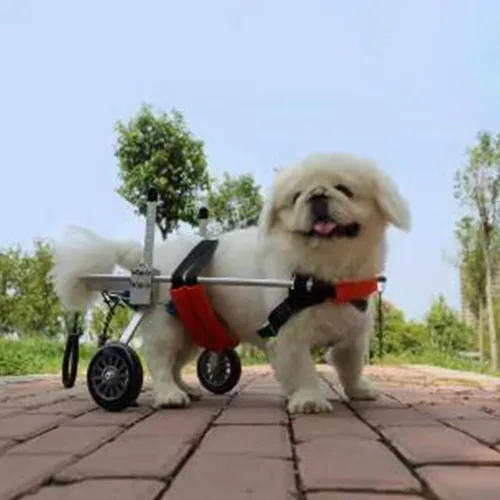 Dog Wheelchair Red Pet Wheelchair for Back Legs, Light Weight Cat/Dog Cart with Wheels, Small/Medium/Large Doggy Mobility Assistant for Hind