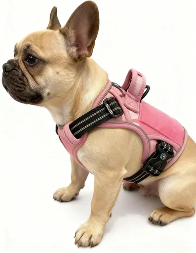 Miniatura 26 de Arnés táctico para perros medianos y grandes, verde, ajustable, sin tirones, con asa, chaleco reflectante resistente, talla L Verde militar