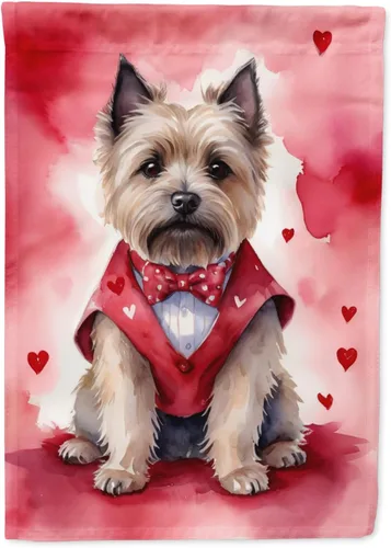 Miniatura 107 de Caroline's Treasures DAC5292CHF - Bandera de Border Collie My Valentine House para porche, grande, con manga para porche, para colgar en la pared