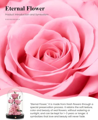 Miniatura 7 de DENIMOMO Rosas para el día de la madre, rosas preservadas para el Día de la Madre, rosas reales para el Día de la Madre, regalos para esposa, mujer