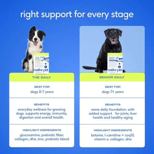 Miniatura 6 de Native Pet Vitaminas y suplementos diarios para perros mayores – Polvo multivitamínico 12 en 1 para perros mayores – Apoya la movilidad