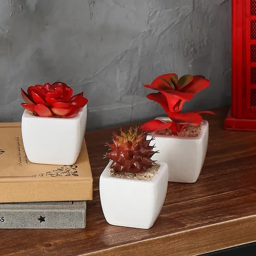 Miniatura 6 de MyGift Surtido de plantas suculentas rojas artificiales, mini plantas falsas del desierto en macetas cuadradas blancas, juego de 3 Rojo (juego de 3)