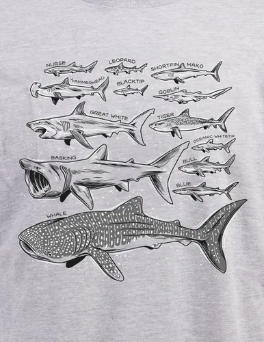 Miniatura 4 de Shark Species Ocean Week Fan Theme Birthday Party Dad Mom Men Women T-Shirt