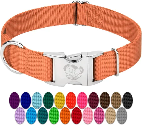 Miniatura 14 de Country Brook Petz – Collar de nailon premium para perro con hebilla de metal para razas pequeñas, medianas y grandes - Más de 10 colores cálidos