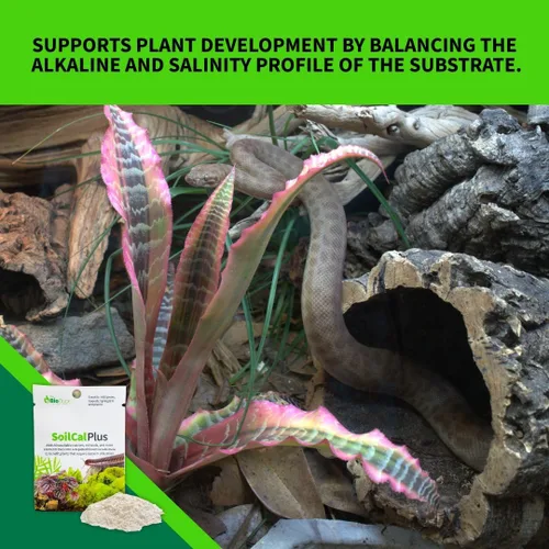 Miniatura 3 de The Bio Dude Soil Cal Plus - Aditivo de calcio de sustrato bioactivo. Ideal para isópodos, milpiés y plantas
