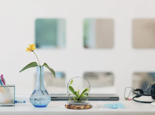 Miniatura 7 de Terrario de planta viva Nepenthes tobaica sin mantenimiento (con musgo Sundew) en frasco de vidrio autosostenible, sin mantenimiento, gran regalo