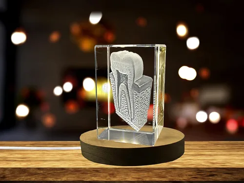 Miniatura 17 de Regalo para médicos 3D grabado en cristal recuerdo/regalo/decoración/(pequeño (3 x 2 x 2 pulgadas), arterias)