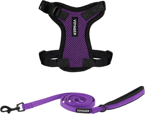 Miniatura 30 de Best Pet Supplies Voyager Step-in Lock - Arnés para mascotas con correa reflectante para mascotas, con mango de neopreno de 5 pies, soporta