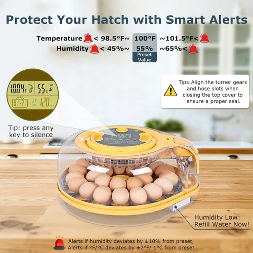 Miniatura 3 de Incubadoras para incubar huevos, incubadora de 18 huevos con vela de huevos, girador automático de huevos, control de temperatura y humedad, día