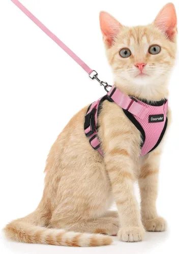 Miniatura 26 de Dooradar Juego de arnés y correa para gato, chaleco ajustable seguro a prueba de escapes, para caminar, chaqueta de malla suave y transpirable