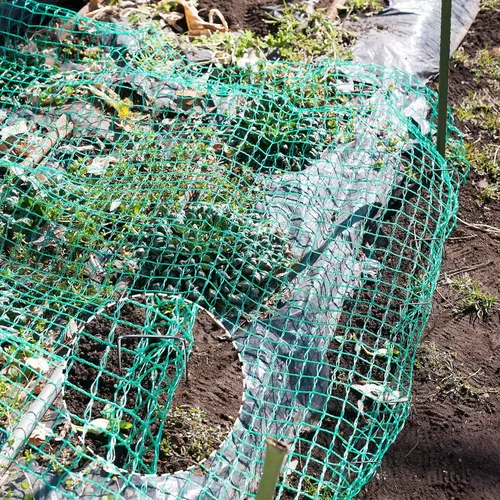 Miniatura 7 de Boao Red para pájaros para jardín, proteger árboles frutales, verduras, árboles de 13 x 32.8 pies con brida para cables y clavija de jardín