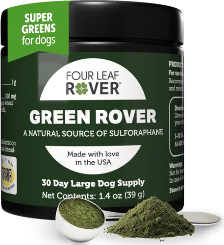 Four Leaf Rover Green Rover - Verdes para perros en polvo con brotes de brócoli orgánicos, espirulina fermentada y verduras de mar - Formulado por
