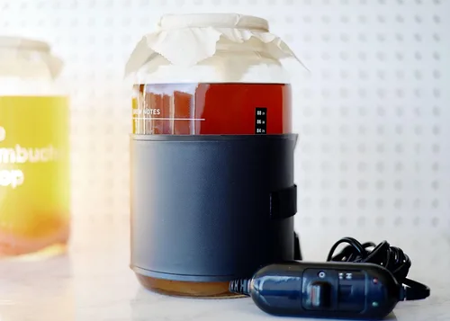 Miniatura 8 de The Kombucha Shop, Kit de preparación de Kombucha de lujo con té para hacer 10 galones adicionales, seis botellas con tapa abatible, embudo de acero