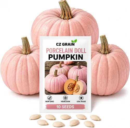 Rare Porcelain Doll - Semillas de calabaza rosa – 10 calabazas decorativas fáciles de cultivar con impresionante color rosa suave, perfectas para