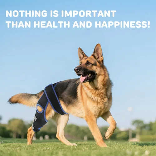 Miniatura 5 de RUXAN Rodillera para perro para Acl, soportes para piernas de perro para pierna trasera, rodillera para dolor y apoyo de artritis, juego de arnés