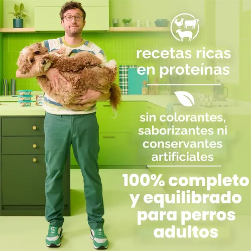 Miniatura 4 de Purina Beneful Freshly Prepared Blends - Paquete variado de alimentos húmedos para perros con carne de res, pollo o cordero, (paquete de 12) tubos