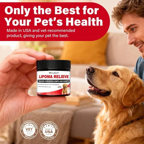 Miniatura 7 de Tratamiento de lipoma para perros y gatos, bálsamo para perros con aceite de ricino, crema DMSO, apoya la comodidad de las articulaciones