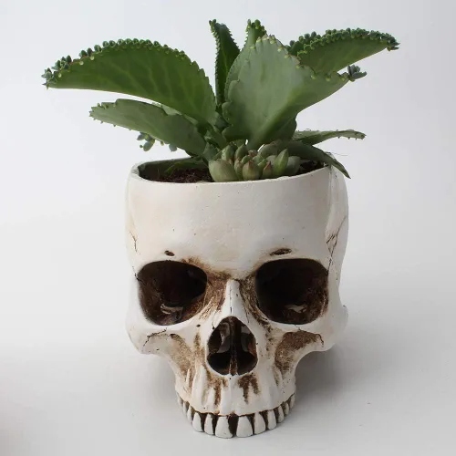 Miniatura 7 de Mikayoo Soporte para bolígrafo de calavera – Soporte para brochas de maquillaje y caja de almacenamiento para escritorio de oficina o tocador, Negro