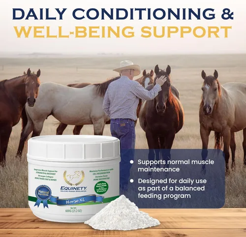Miniatura 2 de Productos de Equinety Horse