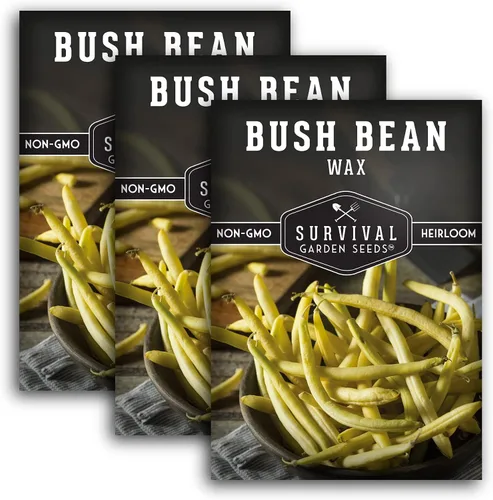 Miniatura 12 de Survival Garden Seeds - Semilla de frijol Golden Wax Bush para plantar - 5 paquetes con instrucciones para plantar y cultivar frijoles amarillos