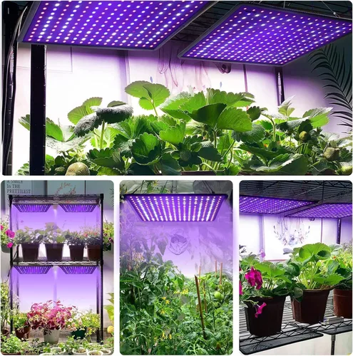 Miniatura 4 de Luz de Cultivo LED Mejorada, Luz de Plantas de Espectro Completo de Alta Eficiencia y Alto Rendimiento, Luces de Cultivo para Plantas