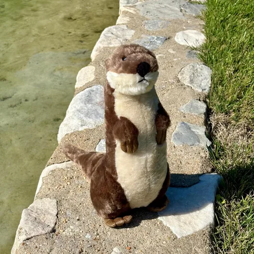 Miniatura 5 de The Petting Zoo Animal de peluche de nutria de río, regalos para niños, animales salvajes del zoológico Onez, juguete de peluche de nutria de río