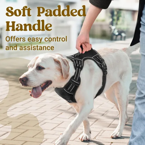 Miniatura 2 de rabbitgoo Arnés para perro de tamaño pequeño, arnés para mascotas sin tirones con mango acolchado suave, chaleco reflectante ajustable con 3