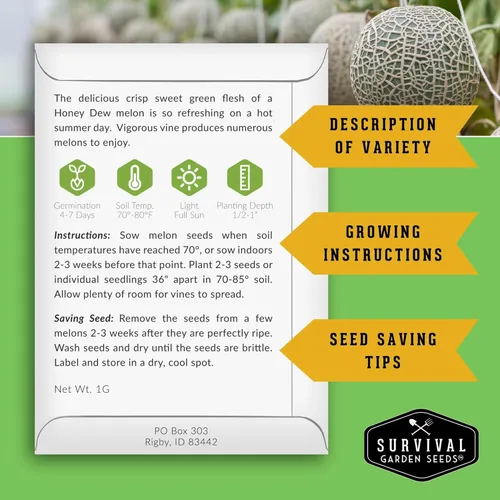 Miniatura 2 de Variedad de semillas de melón – 6 semillas autóctonas de melón cantalupo, melón y sandía para plantar – con Honey Rock, Hale’s Best, Tendersweet