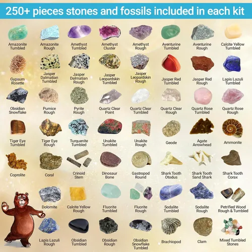 Miniatura 7 de DANCING BEAR Paquete de fósiles de Geología: 2 kits de actividades STEM: actividad de clasificación de rocas, minerales y geodas y fósiles