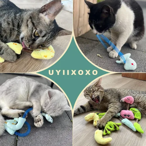 Miniatura 8 de Juego de Juguetes Interactivos para Gatos, Palitos Masticables de Silvervine y Juguete de Resorte para Gatos, Juguetes de Hierba Gatera para 10 packs