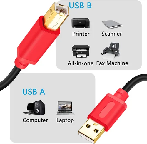 Miniatura 7 de Tan QY Cable de impresora de 10 pies, USB 2.0 de alta velocidad chapado en oro, cable de escáner de impresora A macho a B macho para HP, Canon, 3.05