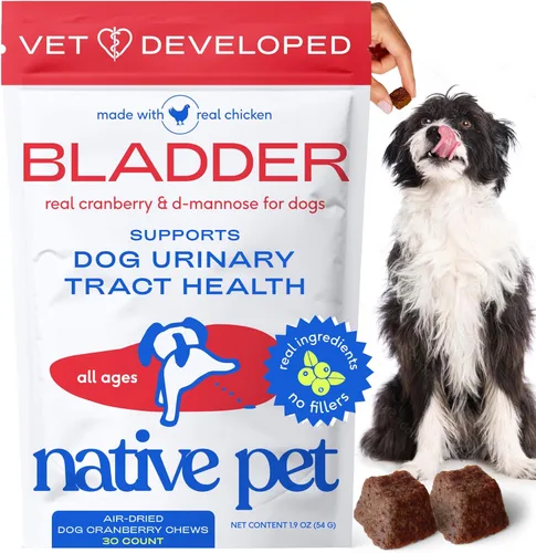 Native Pet Tratamiento de infecciones urinarias para perros, suplemento de arándano para control de la vejiga y apoyo renal, previene la infección